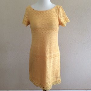 London Times Dress size 4 color yellow